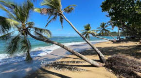 Les bungalows de la plage